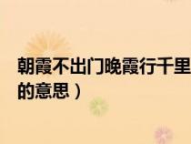 朝霞不出門晚霞行千里的意思簡寫（朝霞不出門晚霞行千里的意思）