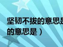 堅(jiān)韌不拔的意思是什么(最佳答案)（堅(jiān)韌不拔的意思是）