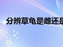 分辨草龜是雌還是雄（草龜如何分辨雌雄）