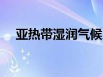 亞熱帶濕潤氣候成因（亞熱帶濕潤氣候）