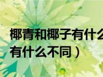 椰青和椰子有什么不同芭芭農(nóng)場(chǎng)（椰青和椰子有什么不同）
