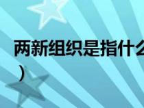 兩新組織是指什么新業(yè)態(tài)(兩新組織是指什么) 兩新組織是指什么新業(yè)態(tài)(兩新組織是指什么)