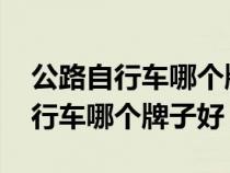 公路自行車哪個牌子好3000以內(nèi)的（公路自行車哪個牌子好）