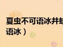 夏蟲不可語冰井蛙不可語海啥意思（夏蟲不可語冰）