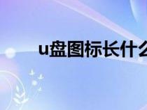 u盤圖標(biāo)長什么樣子（u盤圖標(biāo)制作）