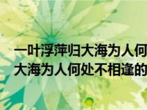 一葉浮萍?xì)w大海為人何處不相逢的意思是什么(一葉浮萍?xì)w大海為人何處不相逢的意思) 一葉浮萍?xì)w大海為人何處不相逢的意思是什么(一葉浮萍?xì)w大海為人何處不相逢的意思)