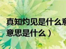 真知灼見是什么意思解釋詞語（真知灼見的全意思是什么）