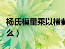 楊氏模量乘以橫截面積是什么（橫截面積是什么）