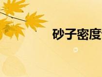砂子密度試驗(yàn)（砂子密度）