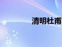 清明杜甫古詩(shī)（清明杜甫）