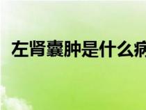 左腎囊腫是什么病嚴重嗎 女性（左腎囊腫）