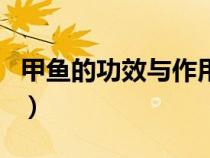 甲魚的功效與作用及禁忌（甲魚的功效與作用）