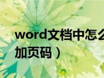 word文檔中怎么加頁(yè)碼（怎么給word文檔加頁(yè)碼）
