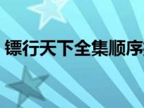 鏢行天下全集順序播放（鏢行天下全集順序）