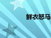 鮮衣怒馬少年（鮮衣怒馬）