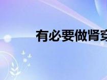有必要做腎穿刺檢查嗎（有必要）