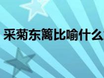 采菊東籬比喻什么意思（陶淵明采菊東籬下）