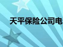 天平保險公司電話（天平保險公司官網(wǎng)）