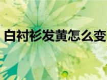 白襯衫發(fā)黃怎么變白（白襯衣發(fā)黃怎樣變白）