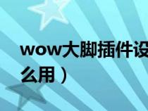 wow大腳插件設置教程（WOW大腳插件怎么用）