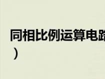 同相比例運(yùn)算電路仿真圖（同相比例運(yùn)算電路）