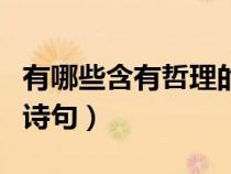 有哪些含有哲理的古詩(shī)詞名句（含有哲理的古詩(shī)句）