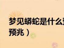 夢(mèng)見(jiàn)蟒蛇是什么預(yù)兆 女性(夢(mèng)見(jiàn)蟒蛇是什么預(yù)兆) 夢(mèng)見(jiàn)蟒蛇是什么預(yù)兆 女性(夢(mèng)見(jiàn)蟒蛇是什么預(yù)兆)
