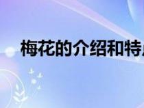 梅花的介紹和特點50字（梅花資料介紹）
