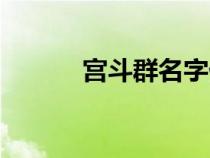 宮斗群名字什么國（宮斗群名）