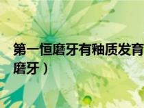 第一恒磨牙有釉質(zhì)發(fā)育不全說明受累年齡在出生后（第一恒磨牙）
