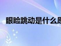 眼瞼跳動(dòng)是什么原因（下眼瞼跳怎么回事）