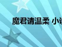 魔君請(qǐng)溫柔 小說(魔君請(qǐng)你溫柔一點(diǎn)) 魔君請(qǐng)溫柔 小說(魔君請(qǐng)你溫柔一點(diǎn))