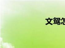 文鴛怎么讀（文鴛）