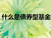 什么是債券型基金投資（什么是債券型基金）