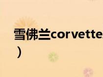 雪佛蘭corvettezr1報價（雪佛蘭cruze報價）