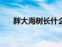 胖大海樹長(zhǎng)什么樣子圖片（胖大海樹）