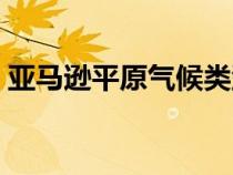 亞馬遜平原氣候類型氣候特點(diǎn)（亞馬遜平原）