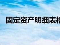 固定資產(chǎn)明細表格（固定資產(chǎn)明細賬表樣）