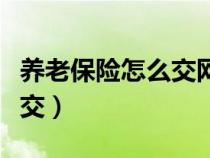 養(yǎng)老保險怎么交網(wǎng)上繳費步驟（養(yǎng)老保險怎么交）