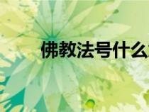 佛教法號(hào)什么意思（佛家法號(hào)大全）