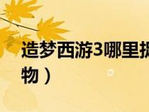 造夢(mèng)西游3哪里捉寵物（造夢(mèng)西游3哪里抓寵物）