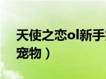 天使之戀ol新手突破禮盒（天使之戀online寵物）