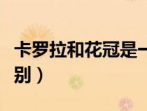 卡羅拉和花冠是一個車嗎(花冠和卡羅拉的區(qū)別) 卡羅拉和花冠是一個車嗎(花冠和卡羅拉的區(qū)別)