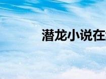 潛龍小說在線閱讀（潛龍小說）