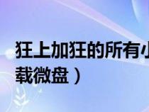 狂上加狂的所有小說(shuō)txt微盤（噬天狂顏txt下載微盤）