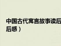 中國古代寓言故事讀后感100字左右（中國古代寓言故事讀后感）