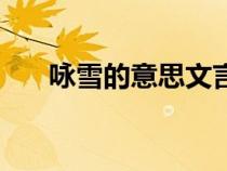 詠雪的意思文言文翻譯（詠雪的意思）