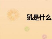 犼是什么意思(犼是什么) 犼是什么意思(犼是什么)