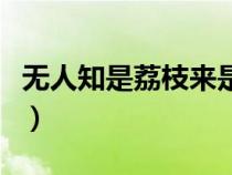 無人知是荔枝來是哪個妃子（無人知是荔枝來）