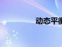 動(dòng)態(tài)平衡閥(動(dòng)態(tài)平衡) 動(dòng)態(tài)平衡閥(動(dòng)態(tài)平衡)